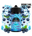 AROMA ULTRA BLUEBERRY ICE 24ML/120 LONGFILL - BOMBO BAR JUICE