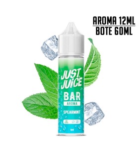AROMA SPEARMINT 12ML/60 LONGFILL - JUST JUICE BAR