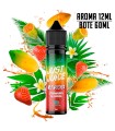 AROMA STRAWBERRY & CURUBA 12ML/60 LONGFILL - JUST JUICE