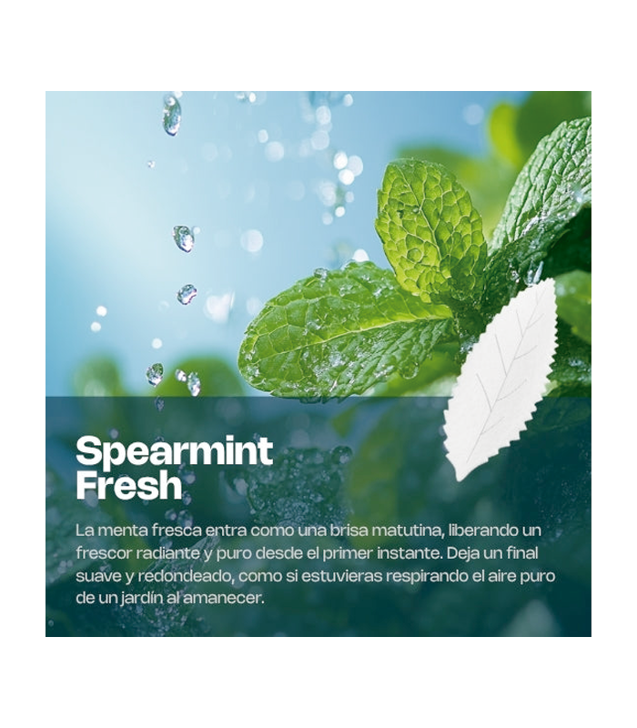 WAKA AIRPOUCH SPEARMINT FRESH 10.5MG