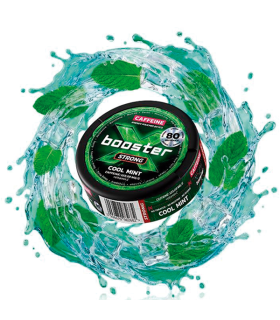 X BOOSTER POUCHES COOL MINT 80MG